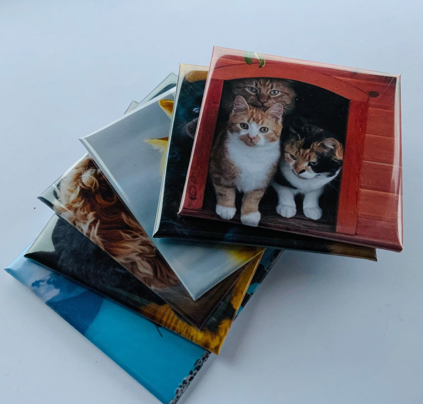 Photo
Magnet
Personalised magnets
Unique magnets
Memories
Magnets memories
Photo memories
Pets
Dogs
Cats
Birthdays
Weddings
Anniversaries
Special Occasions