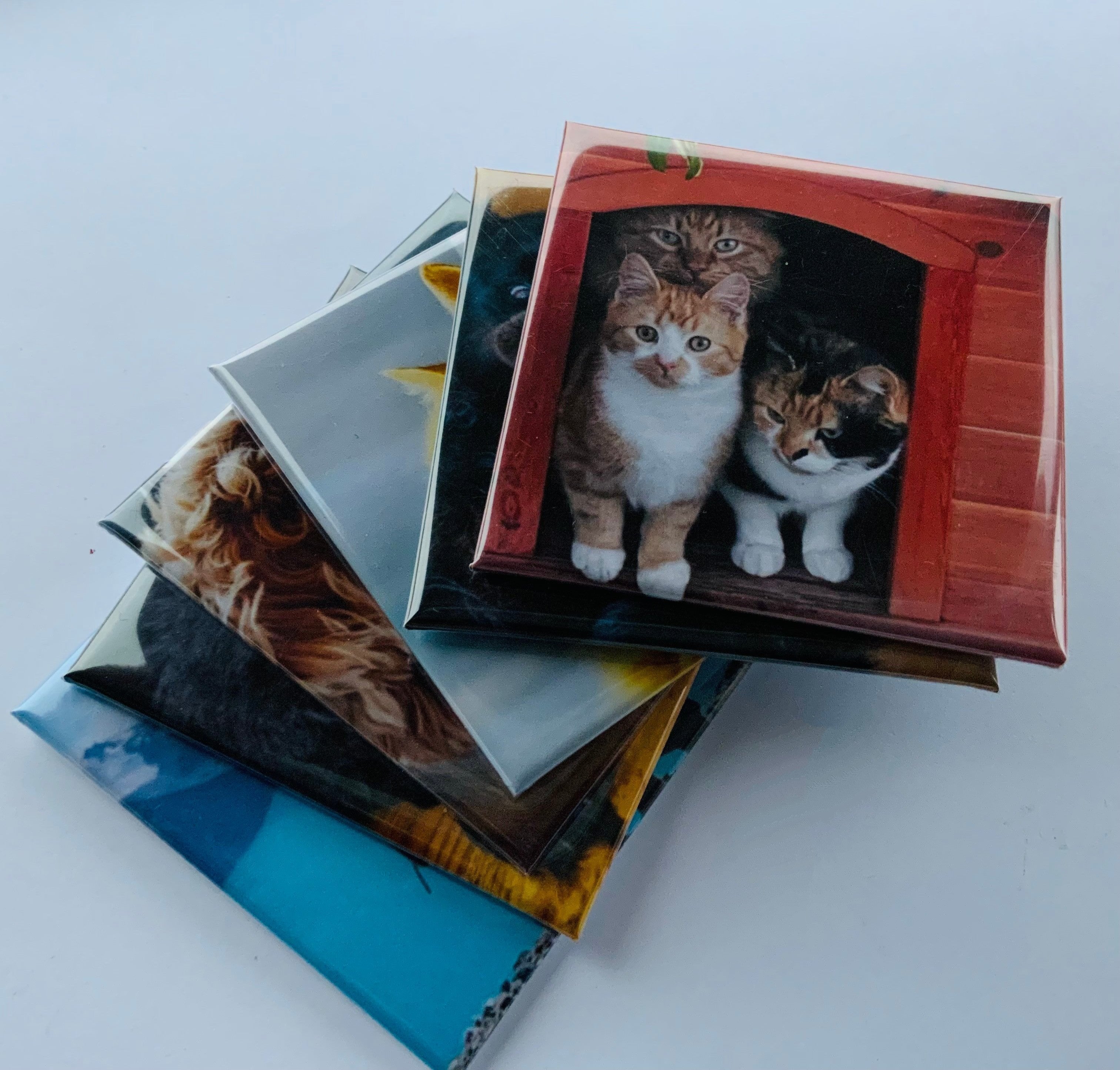 Photo
Magnet
Personalised magnets
Unique magnets
Memories
Magnets memories
Photo memories
Pets
Dogs
Cats
Birthdays
Weddings
Anniversaries
Special Occasions