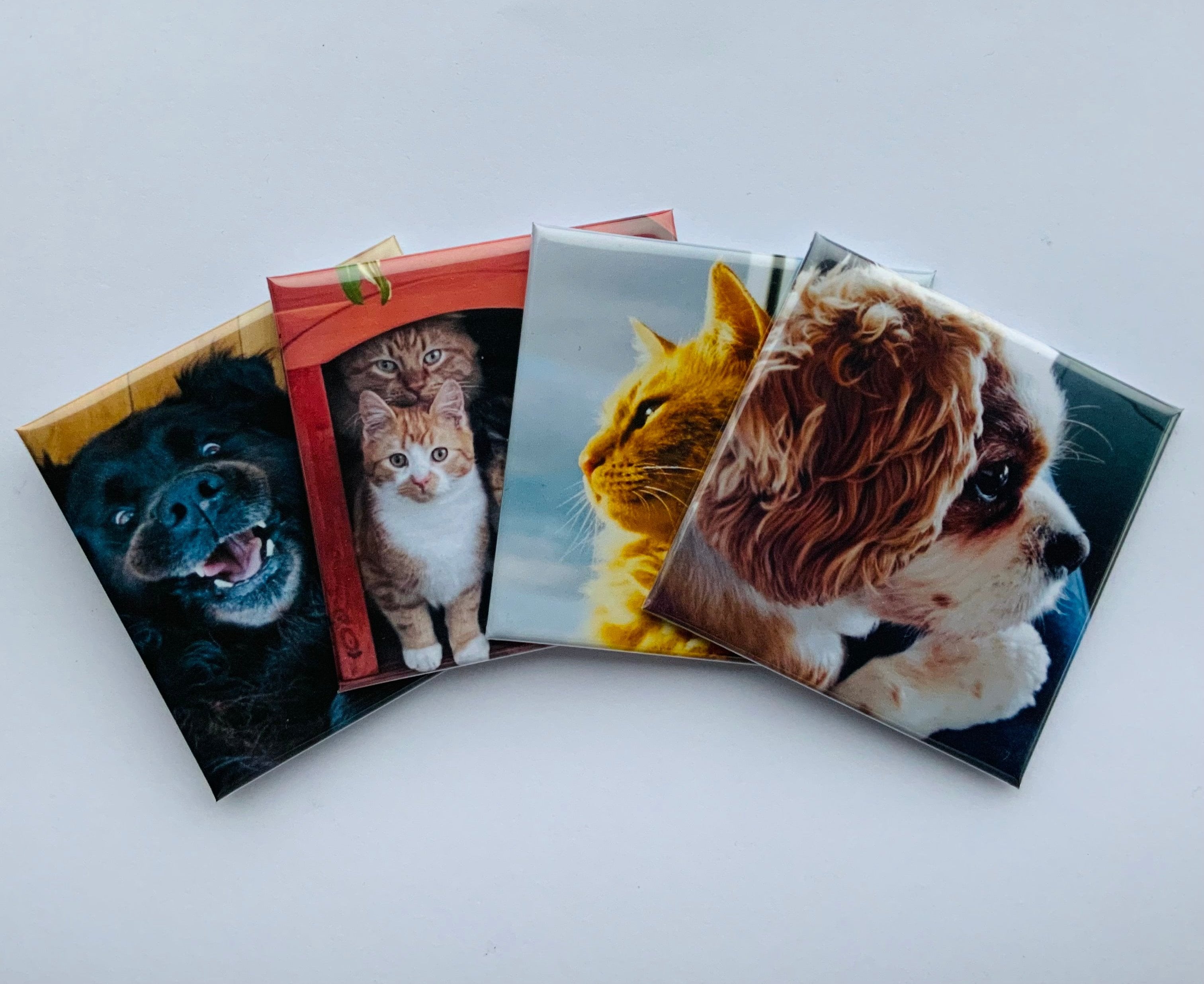 Photo
Magnet
Personalised magnets
Unique magnets
Memories
Magnets memories
Photo memories
Pets
Dogs
Cats
Birthdays
Weddings
Anniversaries
Special Occasions