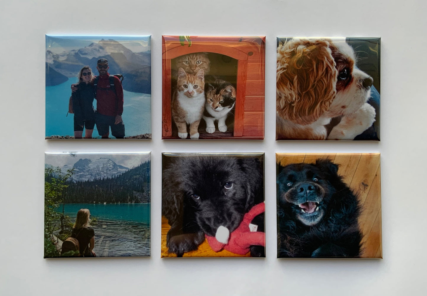 Photo
Magnet
Personalised magnets
Unique magnets
Memories
Magnets memories
Photo memories
Pets
Dogs
Cats
Birthdays
Weddings
Anniversaries
Special Occasions 