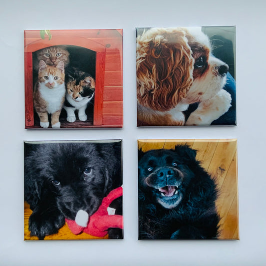 Photo
Magnet
Personalised magnets
Unique magnets
Memories
Magnets memories
Photo memories
Pets
Dogs
Cats
Birthdays
Weddings
Anniversaries
Special Occasions 